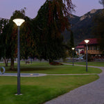 1-Light Black Outdoor LED Solar Lamp Post and Pole Street Light - Lamp Outdoor
