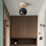 Semicircular Metal LED Rustic Adjustable Pendant Lights Ceiling Lights - Lamp Outdoor