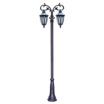 2 Head 118'' Aluminum Waterproof LED Black European Style Street Lights
