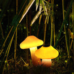 Ray Mushroom Outdoor Ground Light Hardwired Solar - Lamp Outdoor
