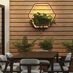 Ray Minimalist Hexagonal Ring With Shelf Metal Outdoor Wall Lamp - Lamp Outdoor