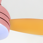 Modern Variable Frequency 6-gear Wind Speed Ultra Silent Kids Ceiling Fan - Lamp Outdoor