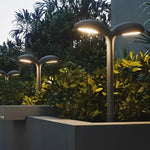 Bean Sprouts Shaped LED Waterproof Black Modern Lawn Light Pathway Lights - Dazuma