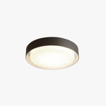 Ray Modern Round Flush Mount Ceiling Light Metal - Lamp Outdoor