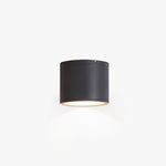 Ray Modern Cylindrical Flush Mount Ceiling Light Metal Glass - Lamp Outdoor