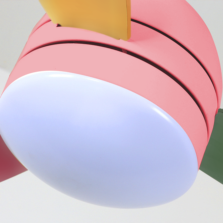 Modern Variable Frequency 6-gear Wind Speed Ultra Silent Kids Ceiling Fan - Lamp Outdoor