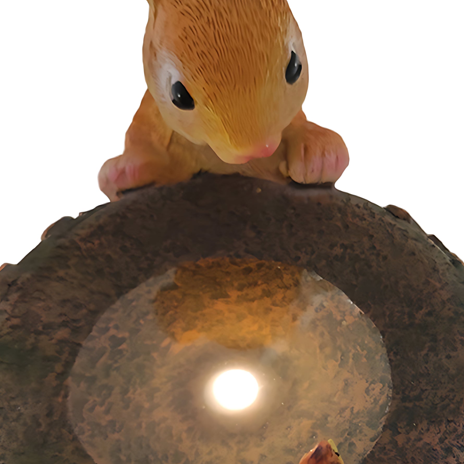 Close-up view of fountain basin with rabbit showing LED light illumination and water feature detail