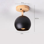 Semicircular Metal LED Rustic Adjustable Pendant Lights Ceiling Lights - Lamp Outdoor