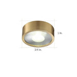 Round LED Copper Modern Ceiling Lights Flush Mount Lighting for Corridors - Lamp Outdoor