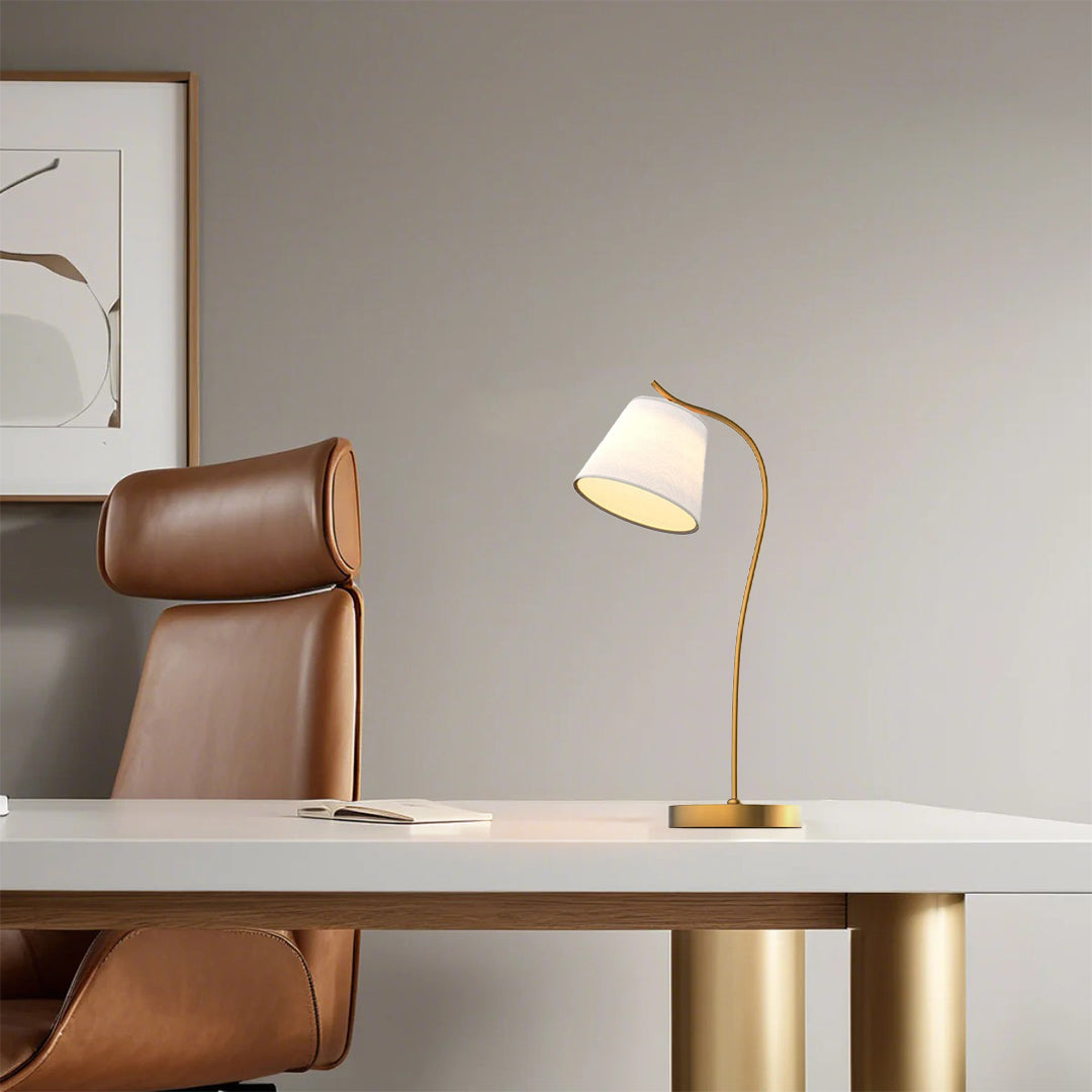 Gilda Gooseneck Cone Fabric Metal Desk Lamp - Lamp Outdoor