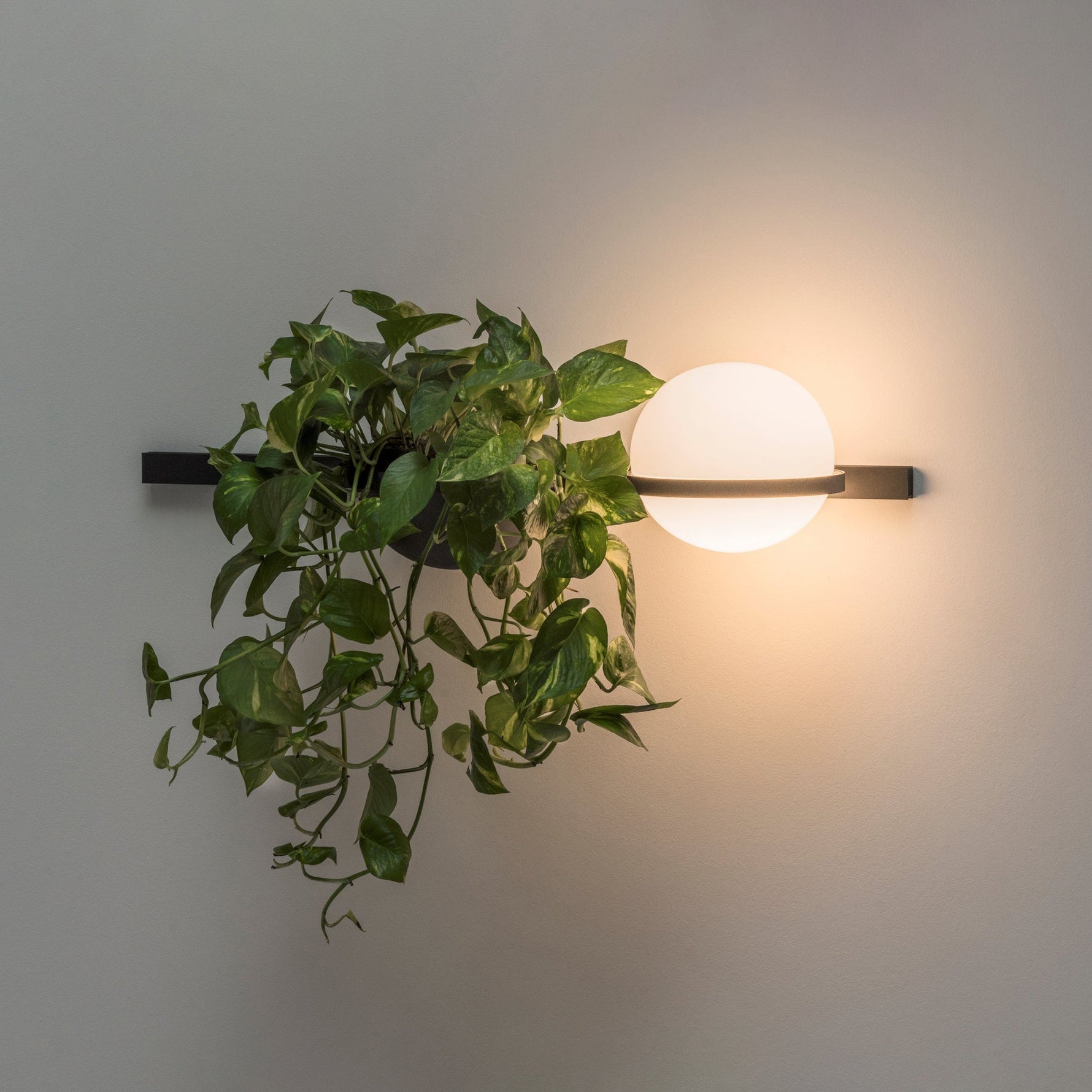 Ray Indoor Outdoor Wall Light - Lamp Outdoor