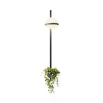 Ray Indoor Outdoor Wall Light - Lamp Outdoor