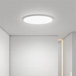 Minimalist Black Circle Industrial Flush Mount Ceiling Lights - Lamp Outdoor