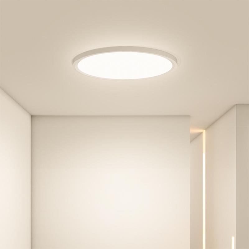 Minimalist Black Circle Industrial Flush Mount Ceiling Lights - Lamp Outdoor