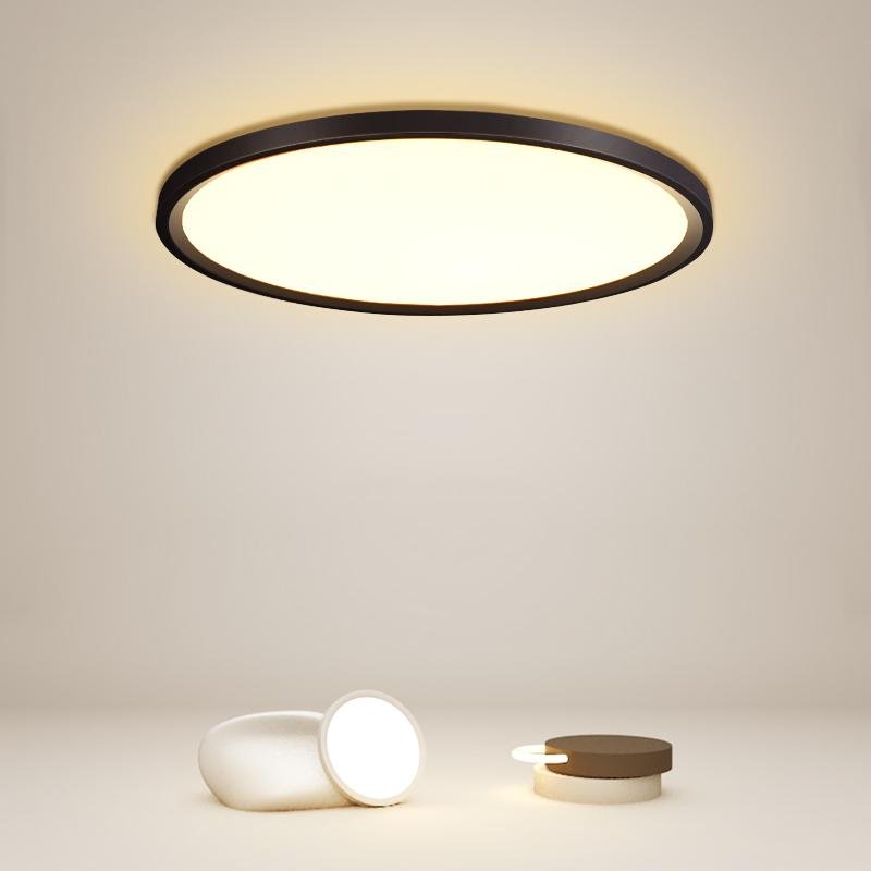 Minimalist Black Circle Industrial Flush Mount Ceiling Lights - Lamp Outdoor