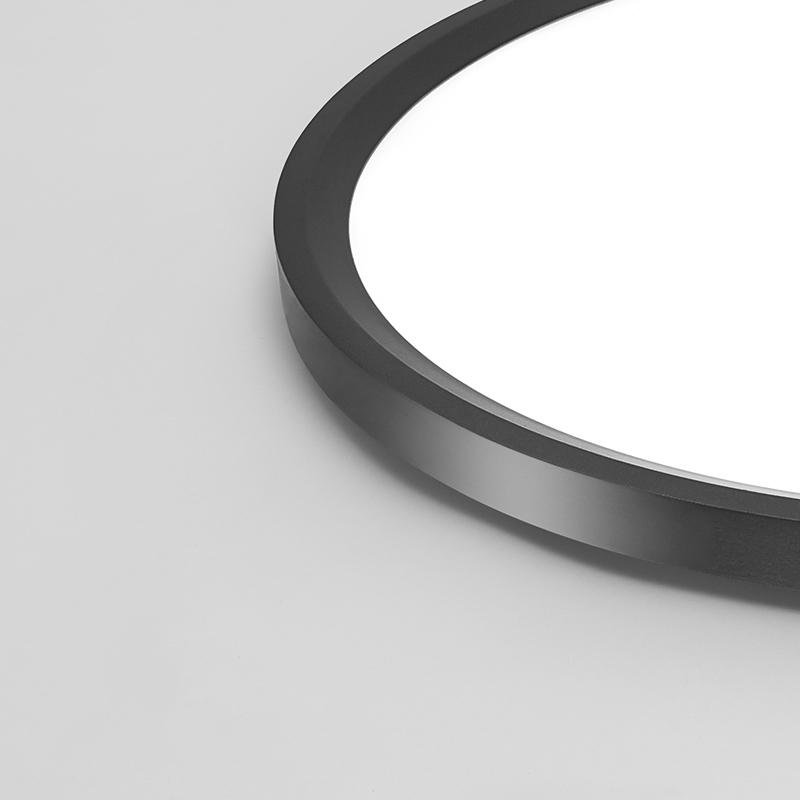 Minimalist Black Circle Industrial Flush Mount Ceiling Lights - Lamp Outdoor