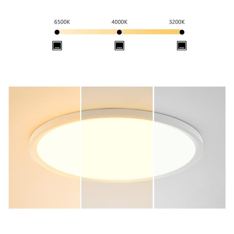 Minimalist Black Circle Industrial Flush Mount Ceiling Lights - Lamp Outdoor