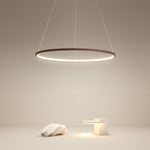 Circle Linear Modern Chandelier Ceiling Lights - Lamp Outdoor