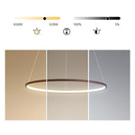 Circle Linear Modern Chandelier Ceiling Lights - Lamp Outdoor