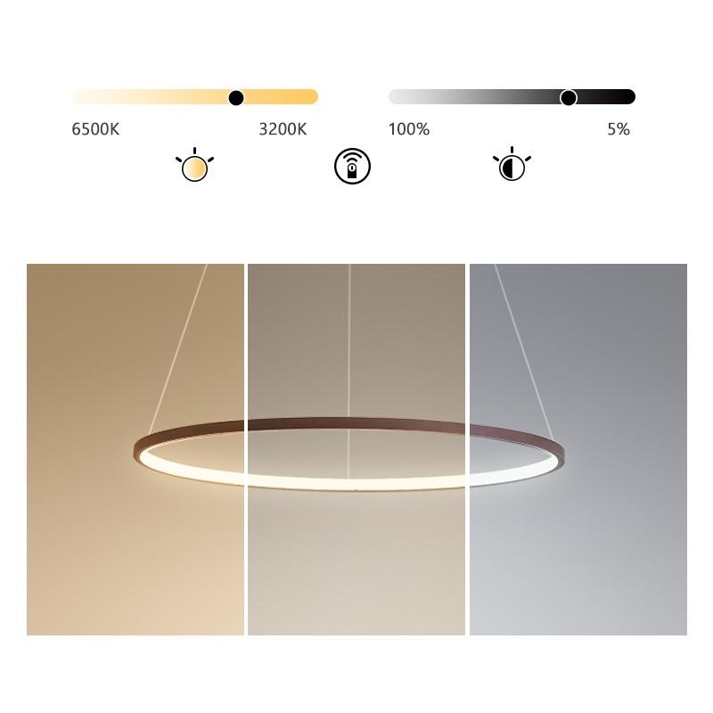 Circle Linear Modern Chandelier Ceiling Lights - Lamp Outdoor