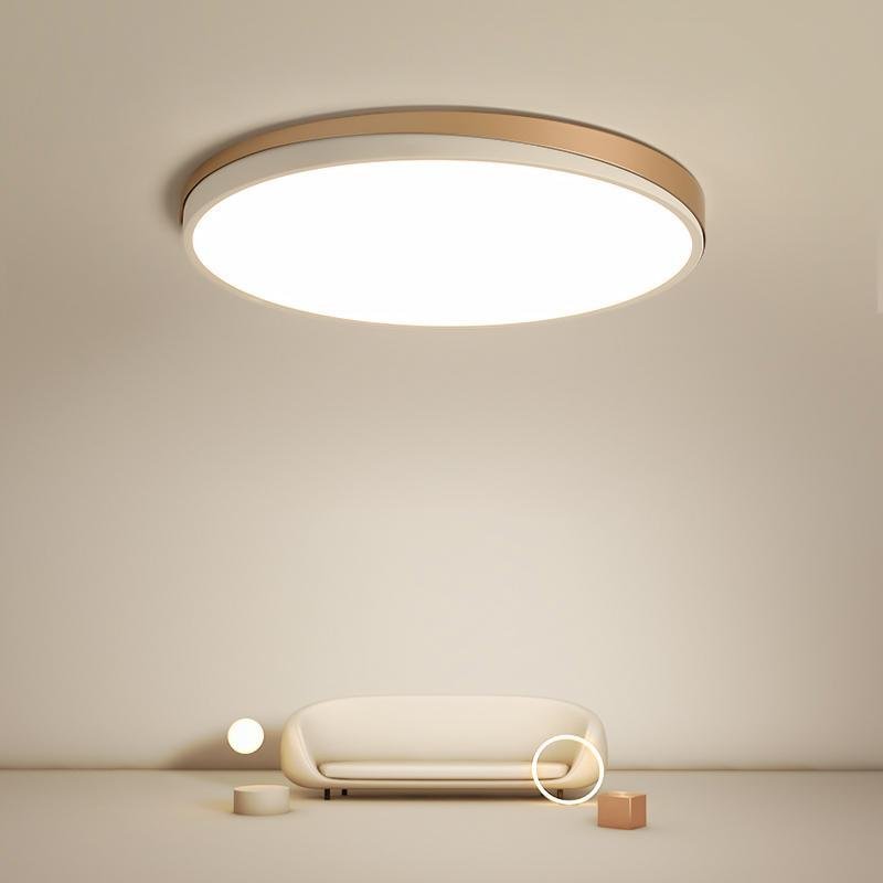 Maude Circle Modern Metal Flush Mount Ceiling Lights - Lamp Outdoor