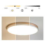 Maude Circle Modern Metal Flush Mount Ceiling Lights - Lamp Outdoor