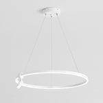 Simple Linear Modern Chandeliers Adjustable Angle Spotlight Circle Chandelier - Lamp Outdoor