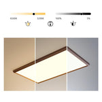 Brown Portrait Flush Mount Kitchen Lighting Dining Room Lighting Ceiling Light - Lamp Outdoor