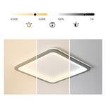 Gray Square Industrial Flush Mount Kitchen Lighting Dining Room Lighting Ceiling Light - Lamp Outdoor