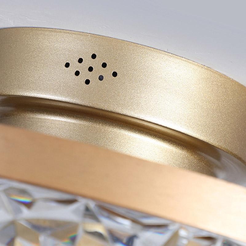 Daphne Circular Rustic Metal Flush Mount Ceiling Fan - Lamp Outdoor