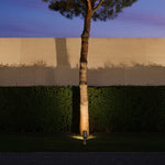 Architectural stakes for outdoor lights creating elegant tree silhouette at twilight