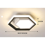 Lois Shaped LED Modern Metal Flush Mount Ceiling Lights - Lamp Outdoor