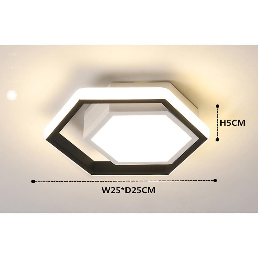 Lois Shaped LED Modern Metal Flush Mount Ceiling Lights - Lamp Outdoor