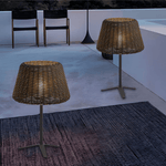 Elegant Rattan Shade LED Outdoor Floor Lamp Pendant Light with Stake and Open - Top Design