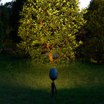 Garden spotlight creating warm uplighting on flowering shrubs and golden foliage in evening landscape