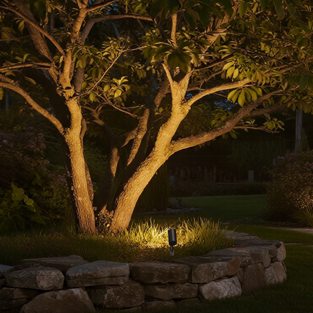 Garden stakes for outdoor lights providing accent illumination for mature oak tree branches