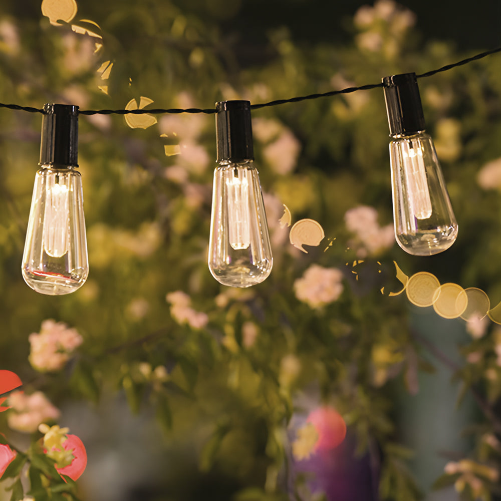 Vintage Edison bulb string lights hanging in garden setting with soft bokeh background
