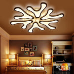 Creative Flower Dimmable LED Nordic Ceiling Lights Flush Mount Lighting - Lamp Outdoor