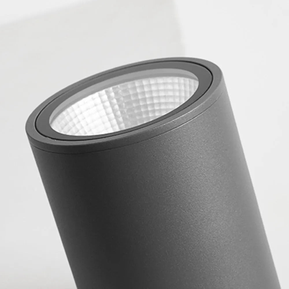 Ray Modern Cylindrical Flush Mount Ceiling Light Metal Glass - Lamp Outdoor