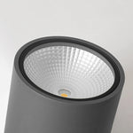 Ray Modern Cylindrical Flush Mount Ceiling Light Metal Glass - Lamp Outdoor