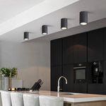 Ray Modern Cylindrical Flush Mount Ceiling Light Metal Glass - Lamp Outdoor