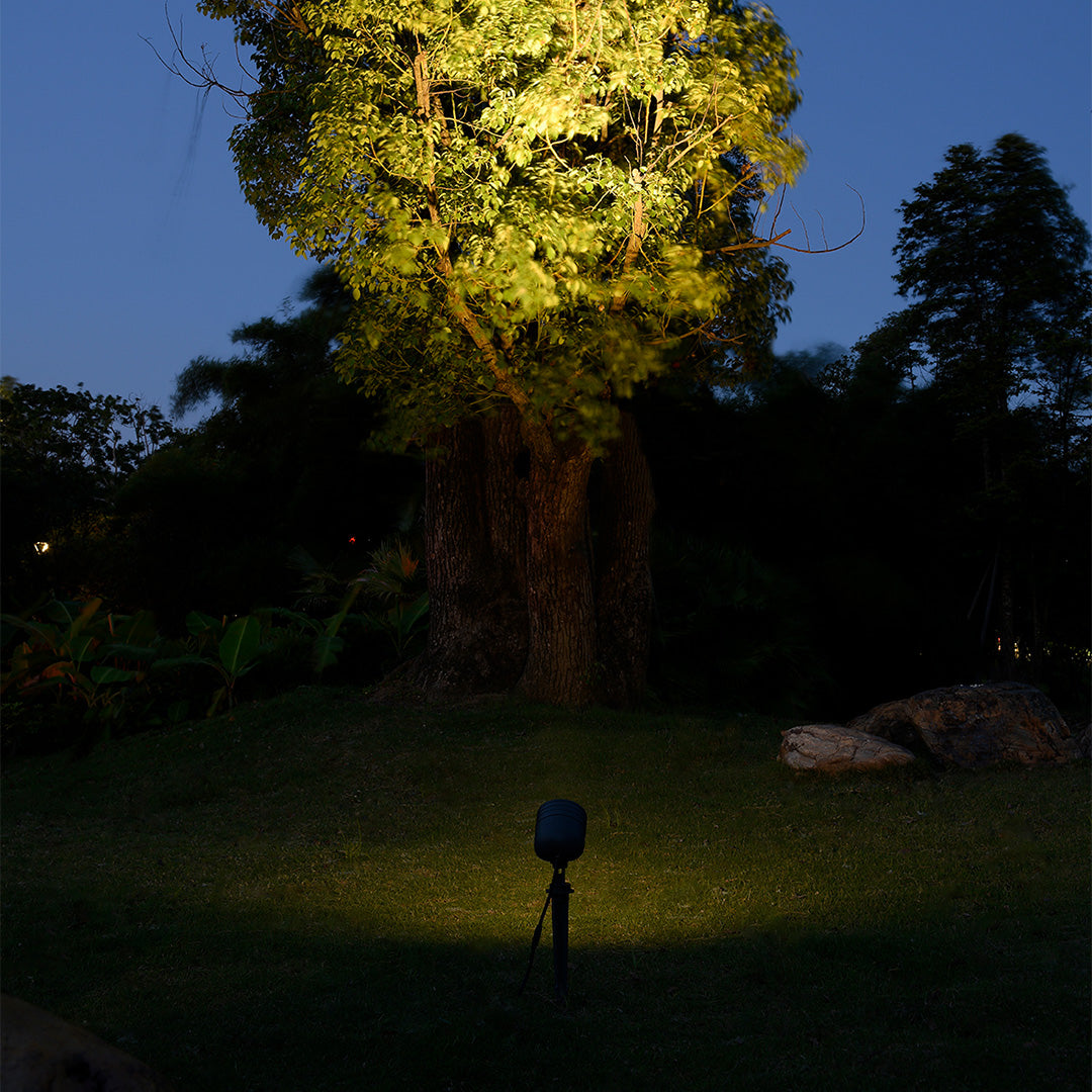 Landscape spotlight creating dramatic uplighting on autumn trees with golden foliage during blue hour