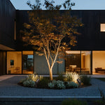 Landscape stakes for outdoor lights highlighting ornamental tree in modern courtyard design