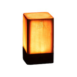 LED Cube Accent Table Lamps - Lamp Outdoor
