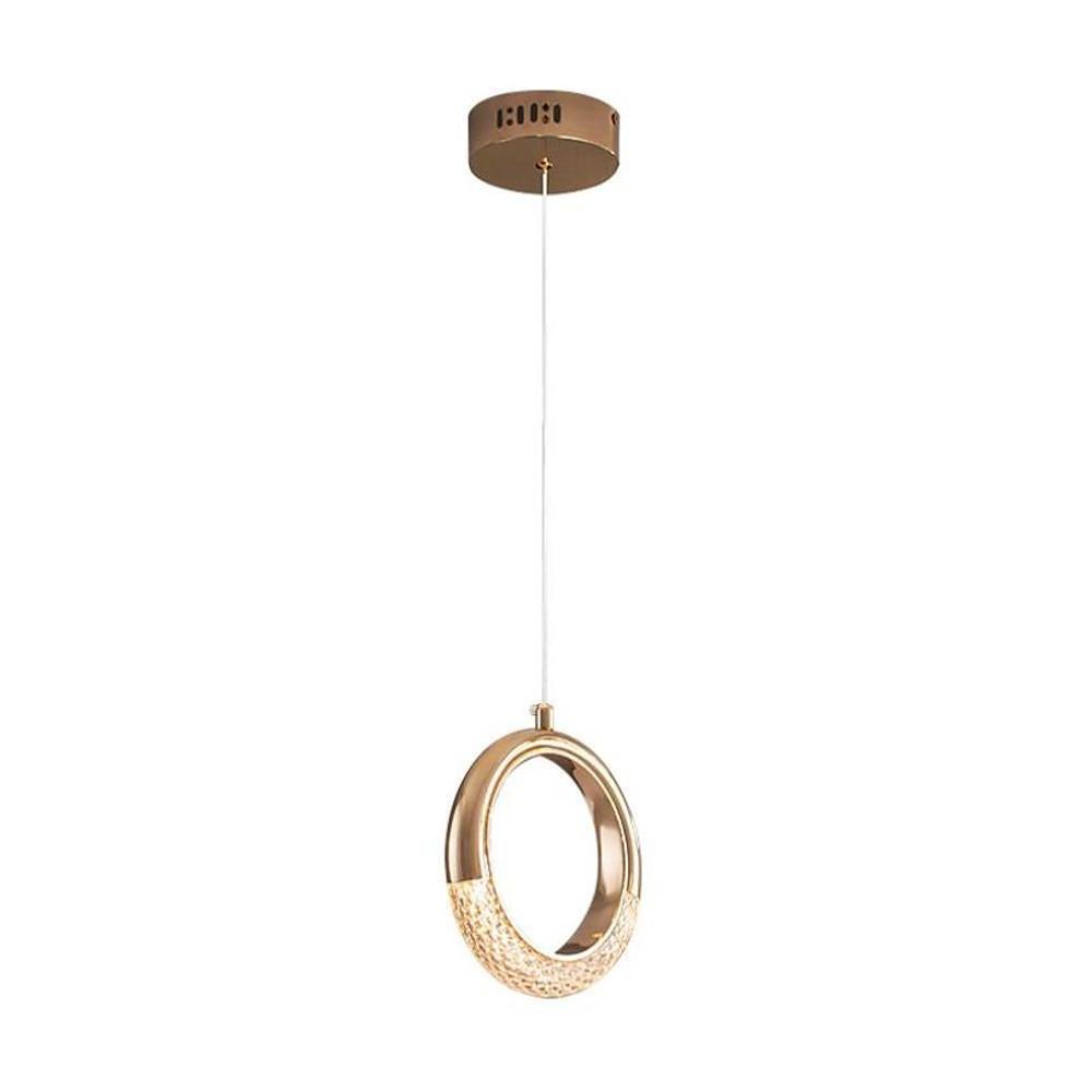 Ring Shaped LED Electroplated Metal Modern Pendant Light Hanging Lamp - Lamp Outdoor