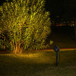 Outdoor spotlight illuminating golden autumn foliage and shrubs with warm accent lighting at night