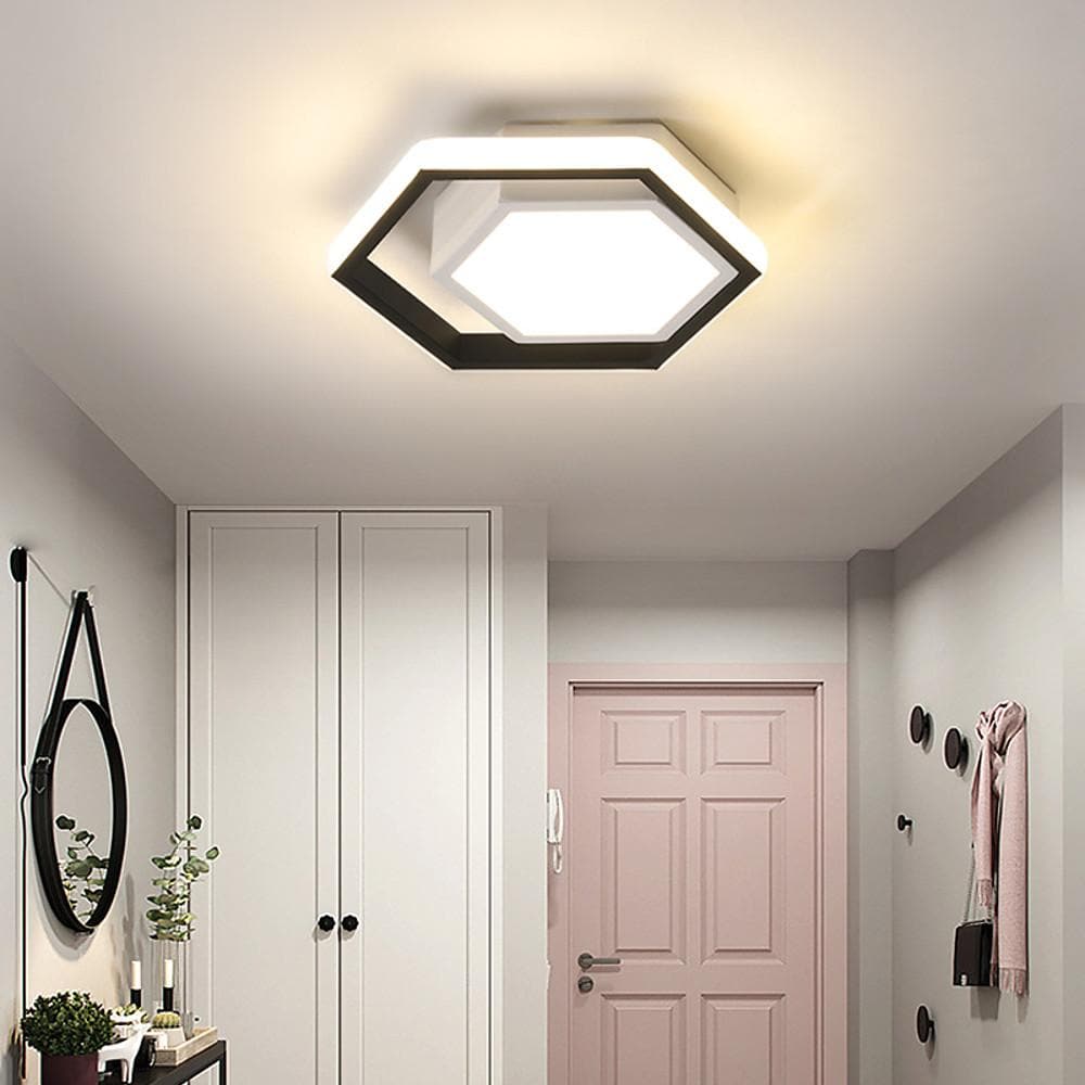 Lois Shaped LED Modern Metal Flush Mount Ceiling Lights - Lamp Outdoor