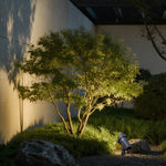 Professional landscape spotlight installed in green lawn area for precise garden accent lighting