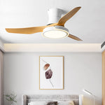 Remote Control Variable Frequency Dimming Integrated Ceiling Fan Light Supports Forward and Reverse - Lamp Outdoor