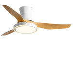 Remote Control Variable Frequency Dimming Integrated Ceiling Fan Light Supports Forward and Reverse - Lamp Outdoor